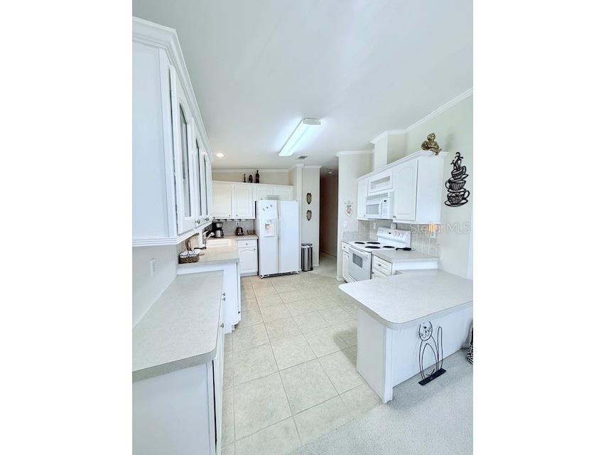 814 Forest Lake Drive Lakeland FL 33809 - LAKE GIBSON L4952328 image7