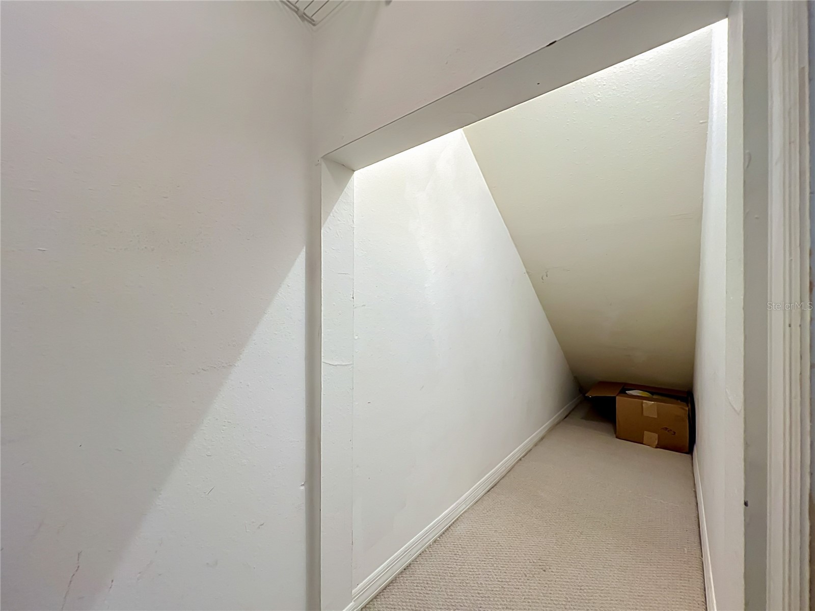 814 Laurel Avenue #2 Orlando FL 32803 O6416685 image49