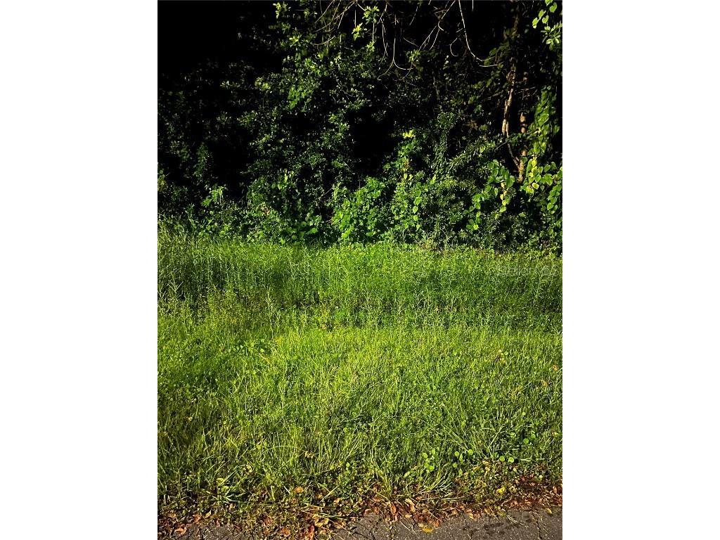 814 Massy Court Kissimmee FL 34759 FC311758 image1