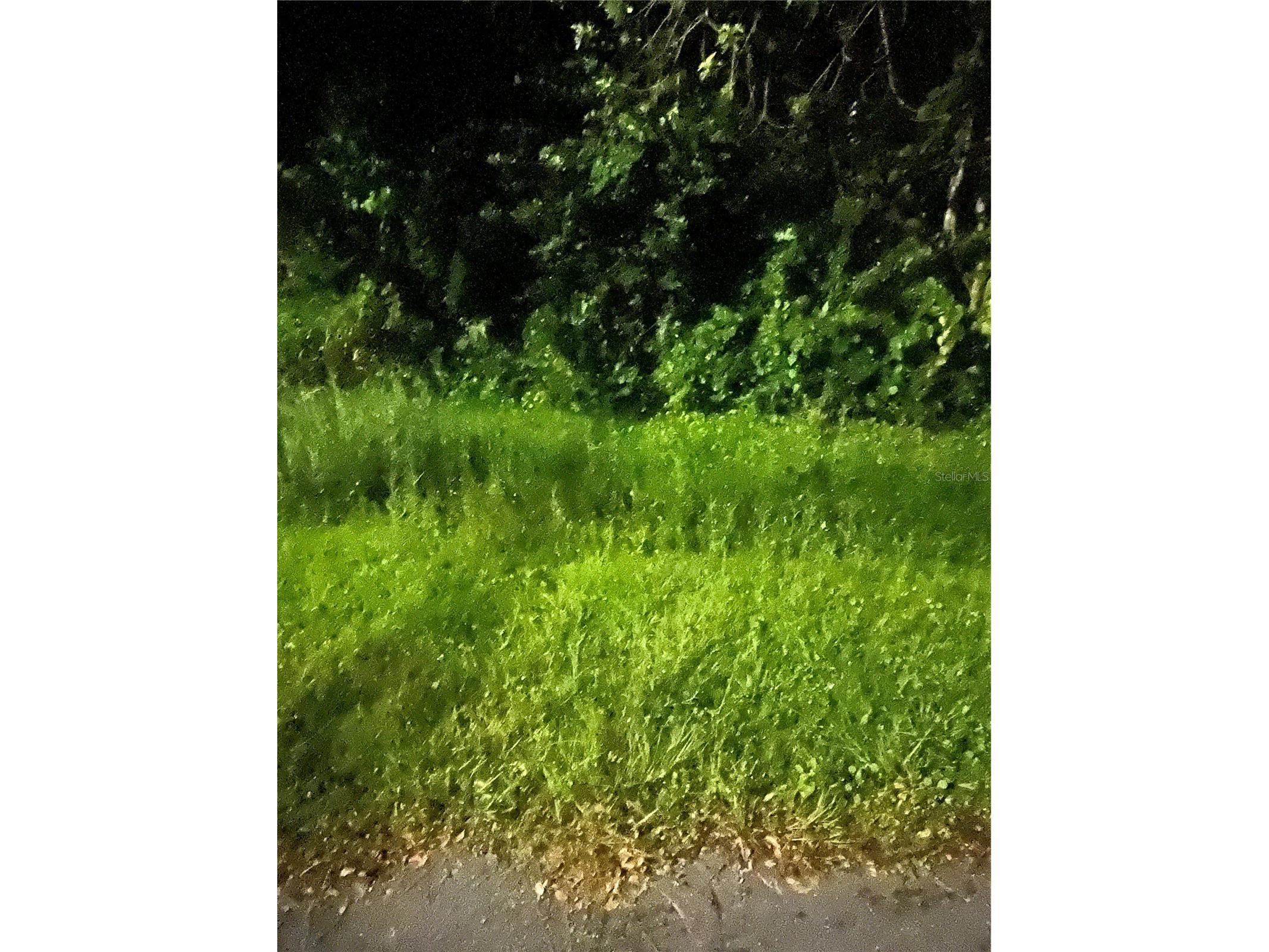 814 Massy Court Kissimmee FL 34759 FC316441 image2