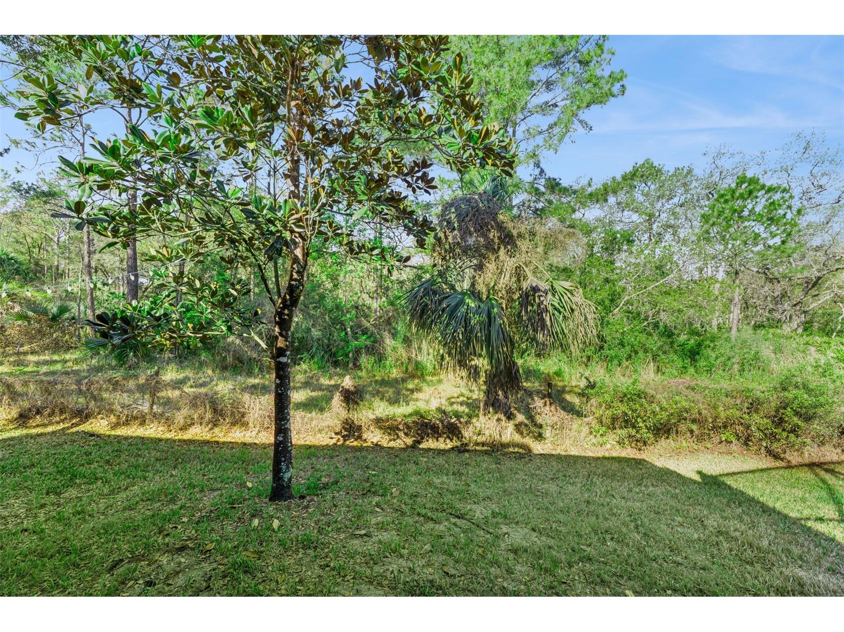 814 Miami Springs Drive Longwood FL 32779 O6390329 image41