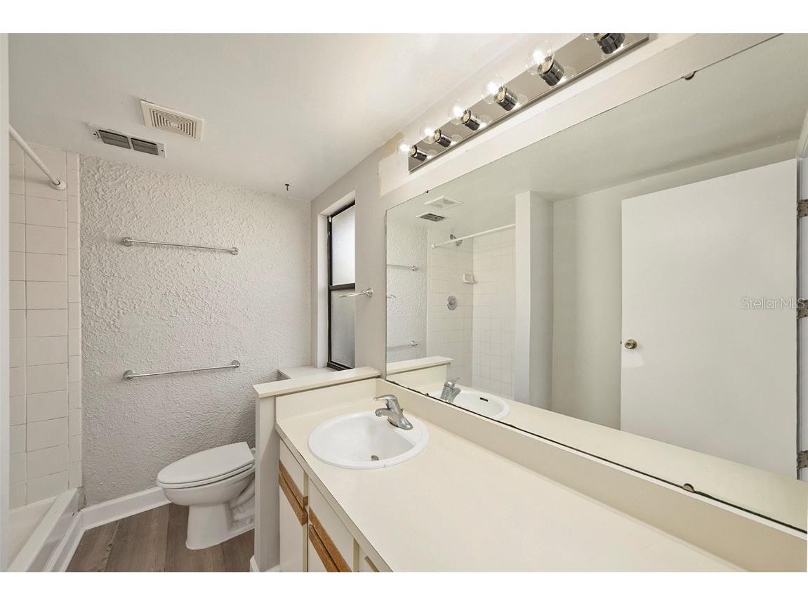 814 Satinleaf Avenue Oldsmar FL 34677 TB8452565 image20