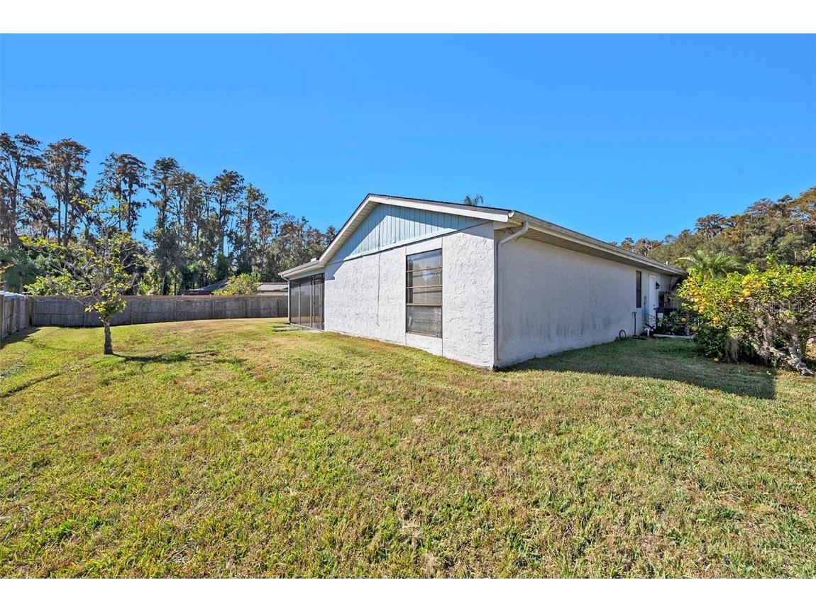 814 Satinleaf Avenue Oldsmar FL 34677 TB8452565 image25