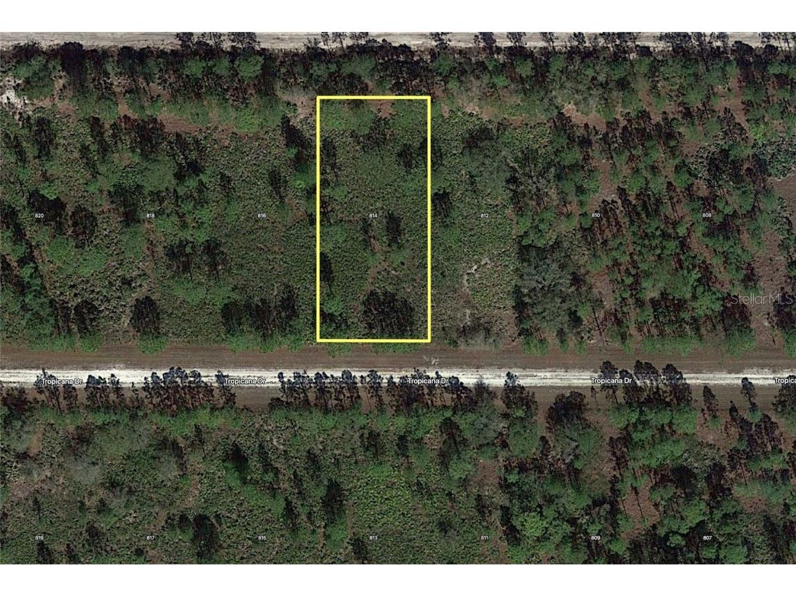 814 Tropicana Drive Indian Lake Estates FL 33855 - LAKE WALK IN WATER T3431127 image1