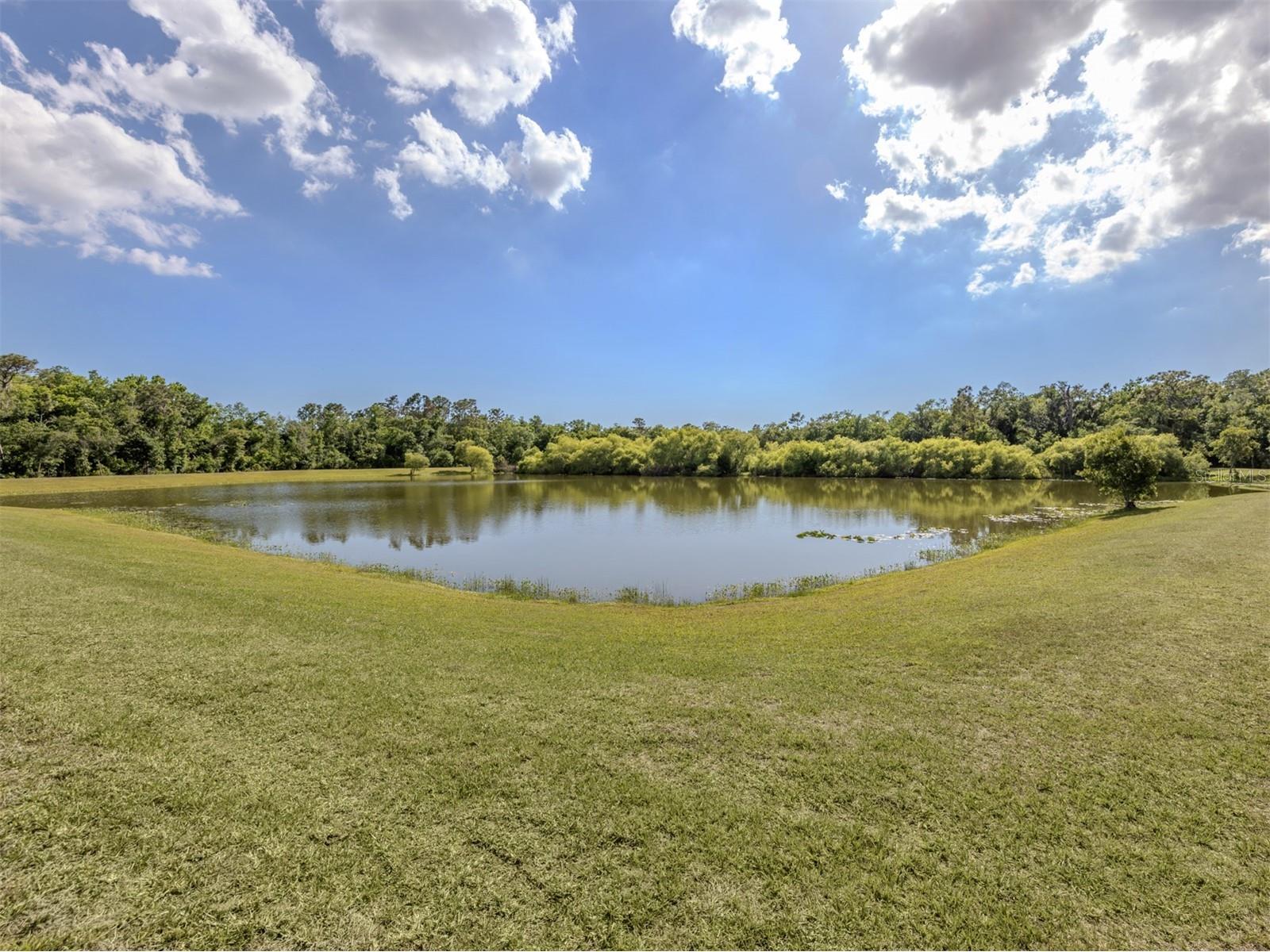 8140 260th Street E Myakka City FL 34251 N6144114 image24