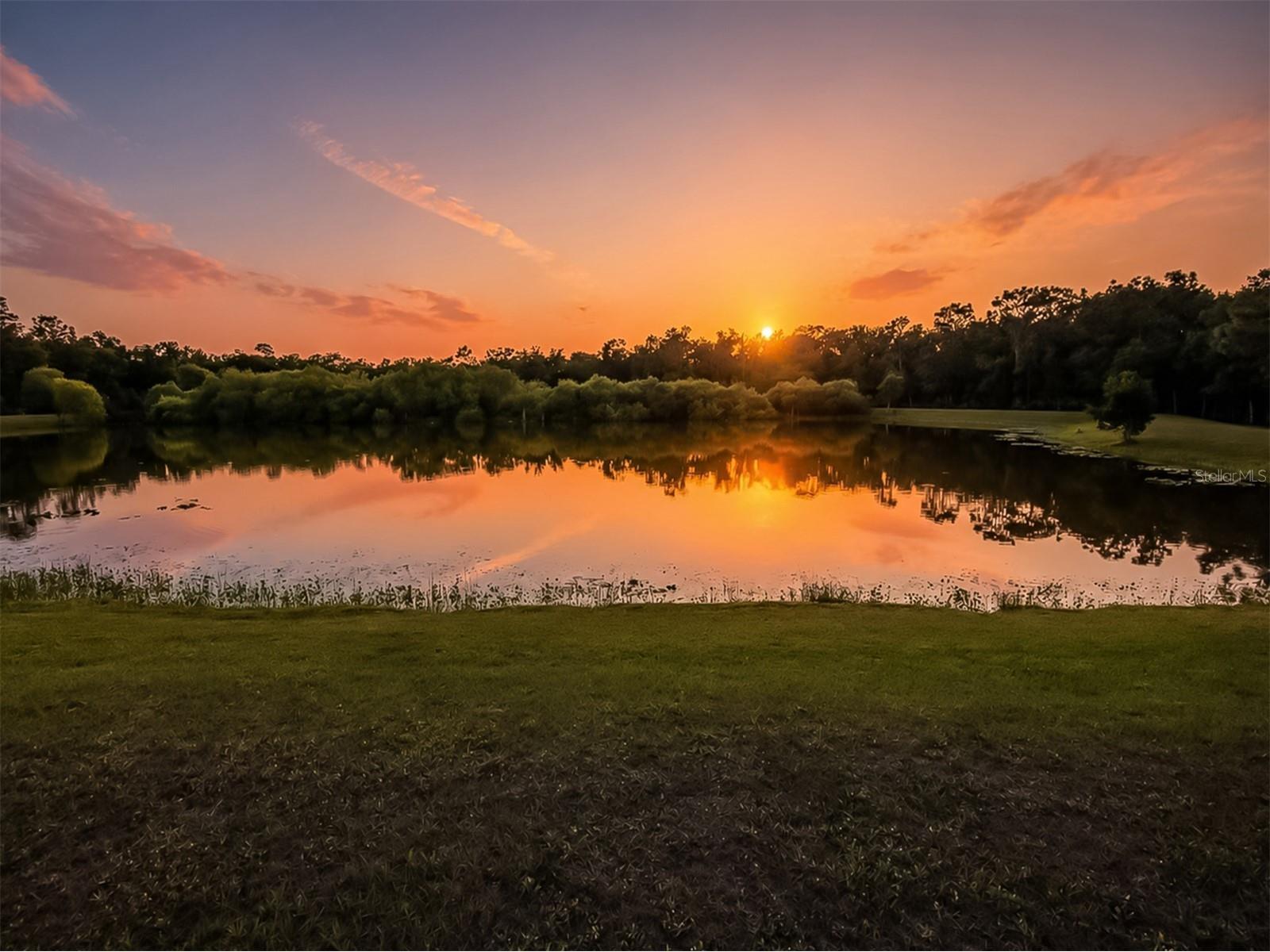 8140 260th Street E Myakka City FL 34251 N6144114 image8