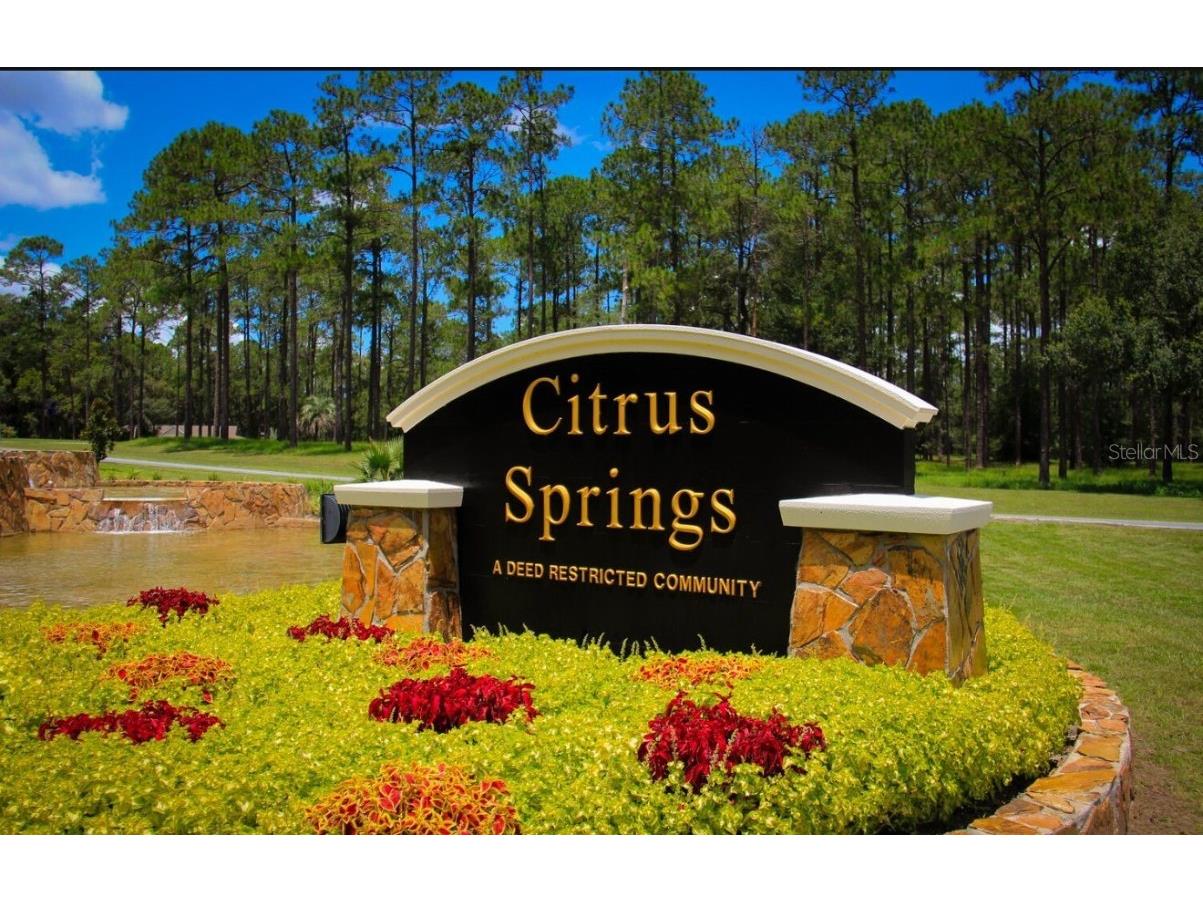8140 N Janeaux Drive Citrus Springs FL 34434 O6267390 image1