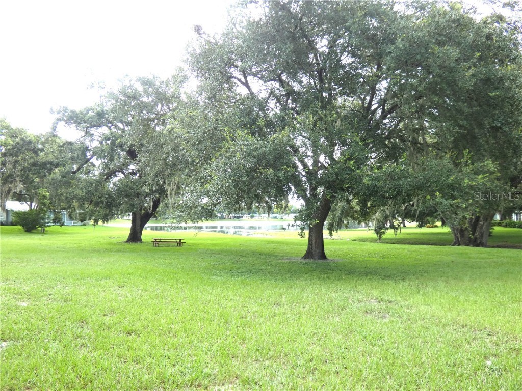 8140 San Felipe Court Port Richey FL 34668 W7878436 image10