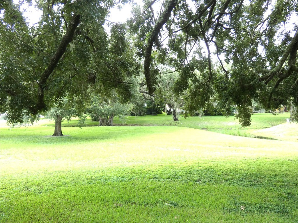 8140 San Felipe Court Port Richey FL 34668 W7878436 image11