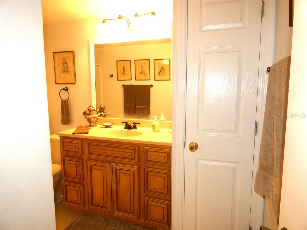 8140 San Felipe Court Port Richey FL 34668 W7878436 image38