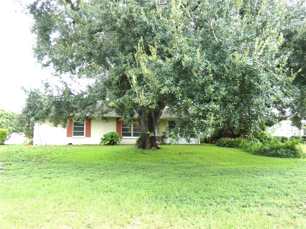 8140 San Felipe Court Port Richey FL 34668 W7878436 image5