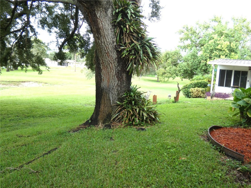 8140 San Felipe Court Port Richey FL 34668 W7878436 image6