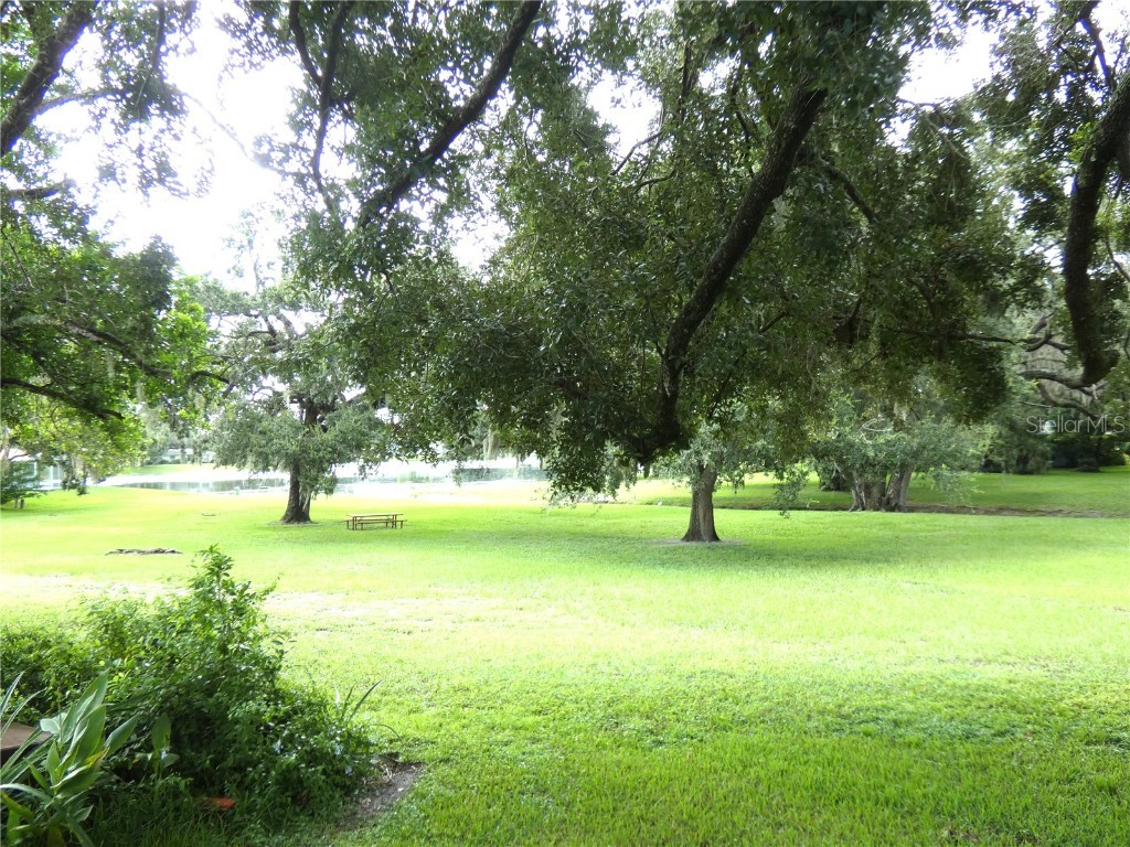 8140 San Felipe Court Port Richey FL 34668 W7878436 image7