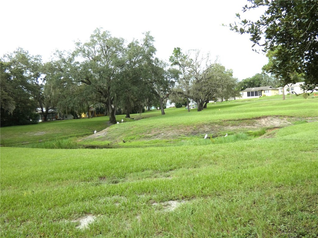 8140 San Felipe Court Port Richey FL 34668 W7878436 image9