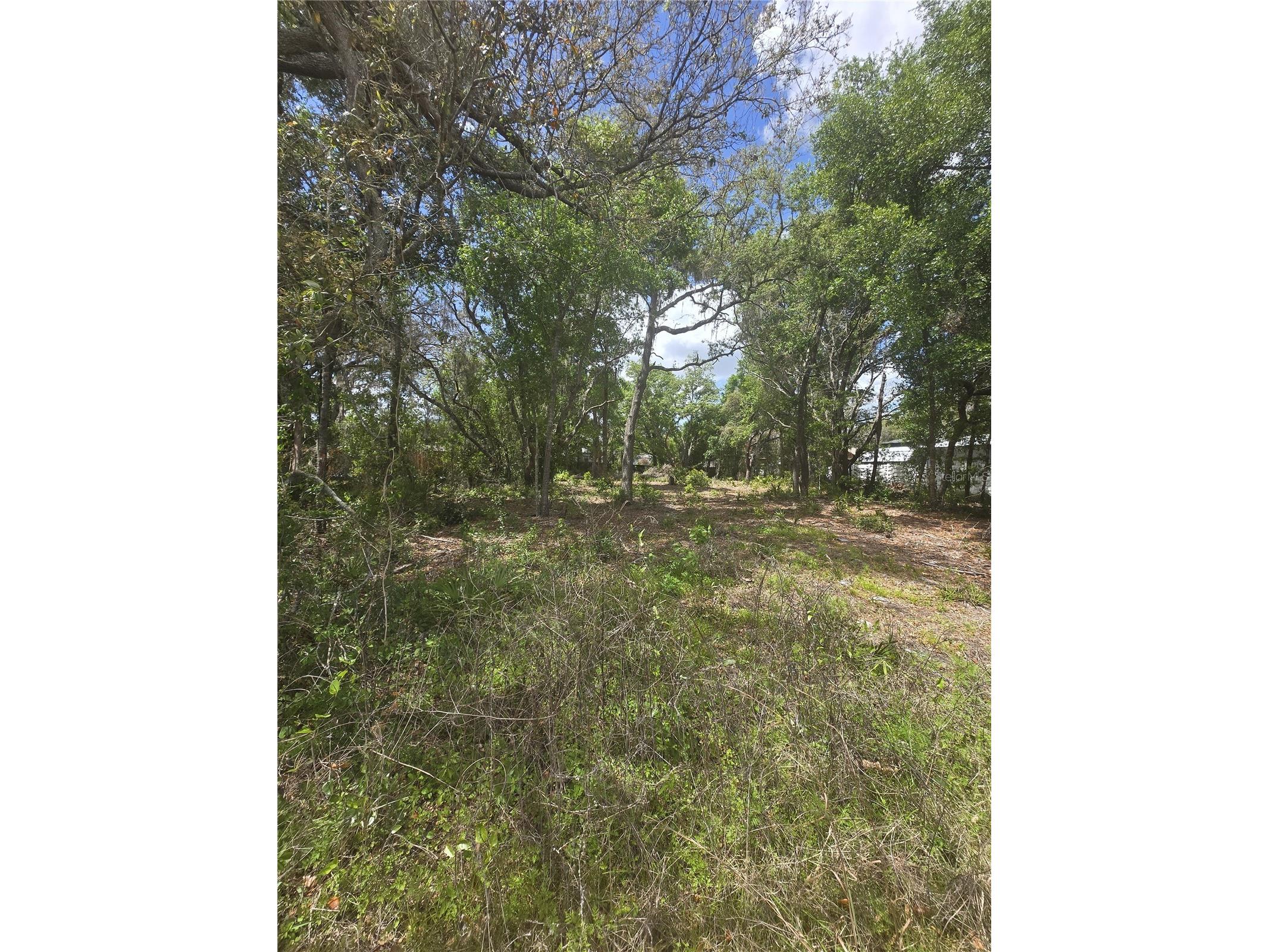 8140 Walt Williams Road Lakeland FL 33809 S5147069 image1