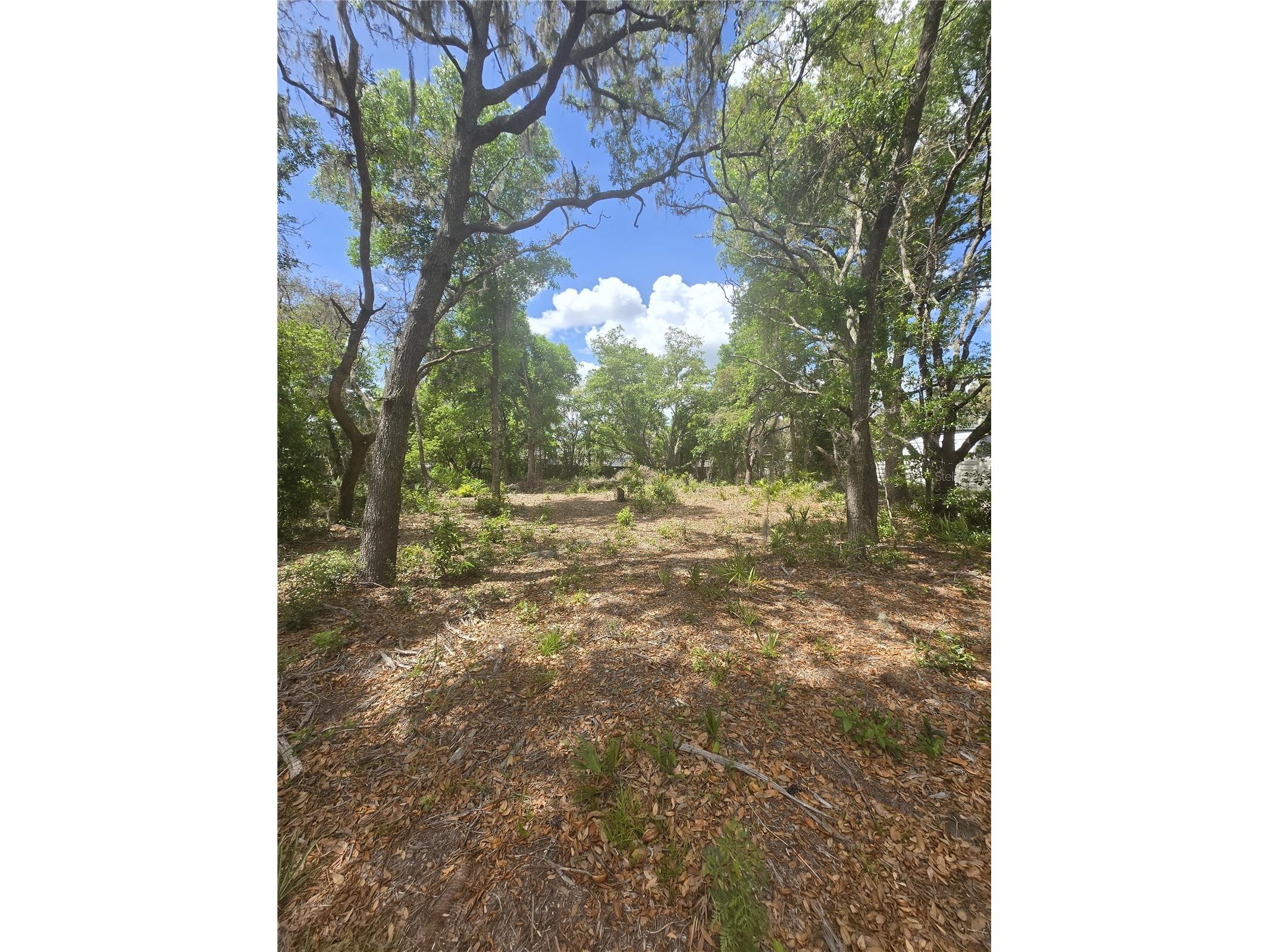8140 Walt Williams Road Lakeland FL 33809 S5147069 image2