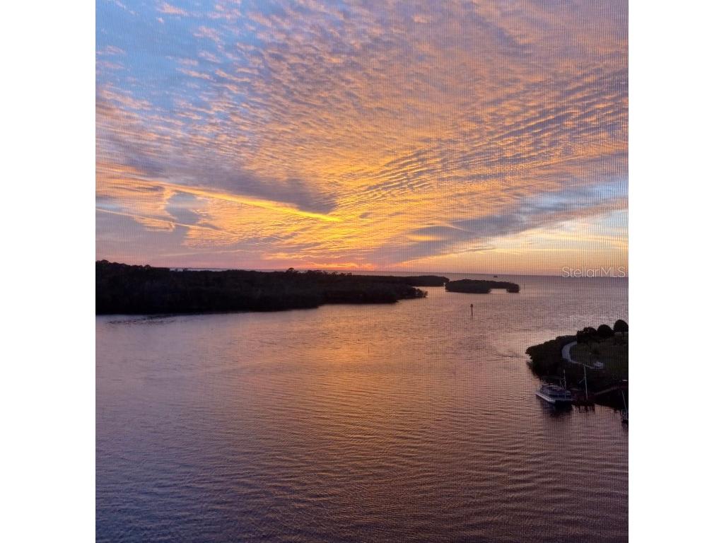 8141 Aquila St #342 Port Richey FL 34668 - GULF OF AMERICA COTEE RIVER TB8371511 image25