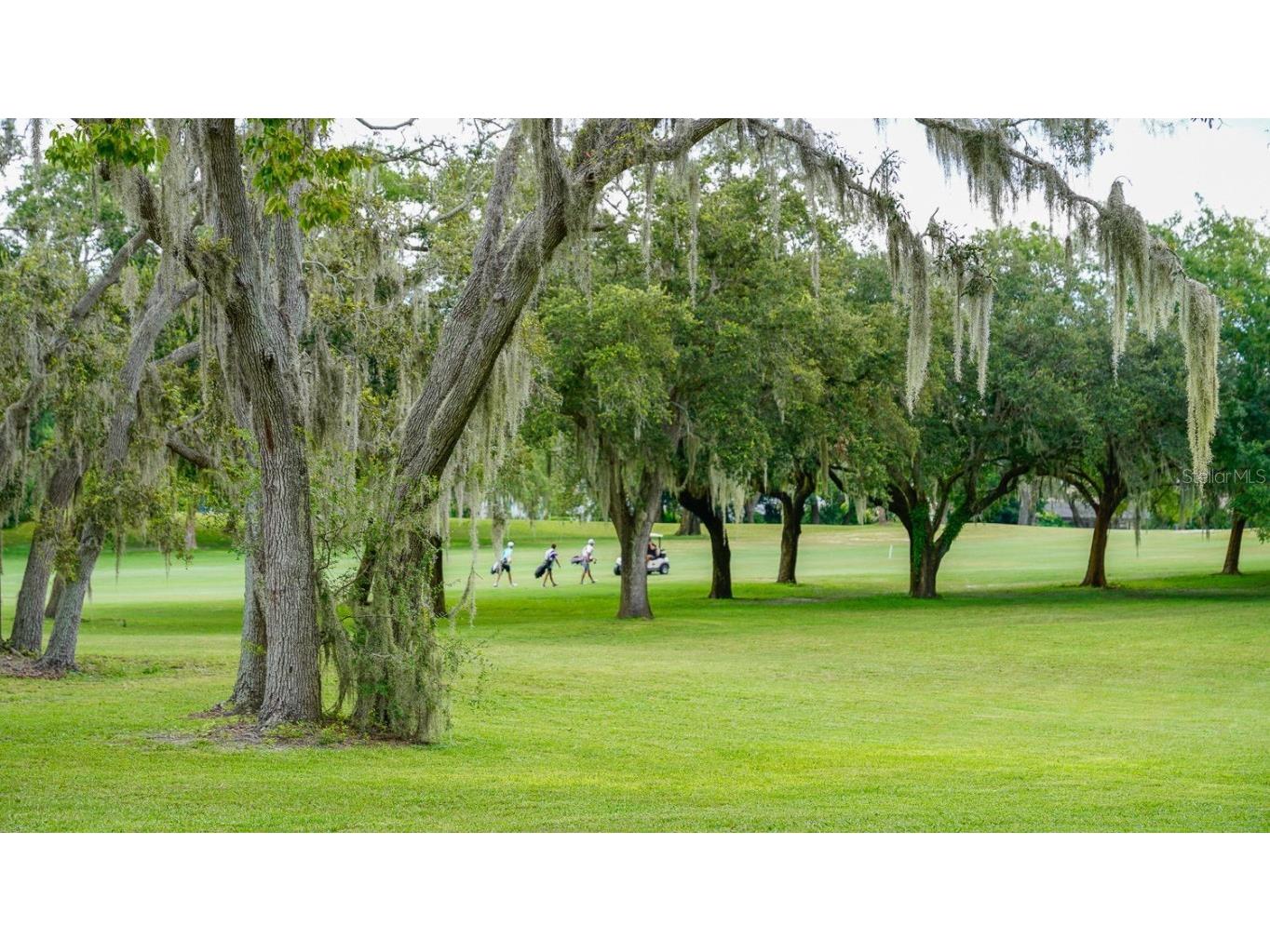 8141 Golf Club Court Hudson FL 34667 TB8426188 image84