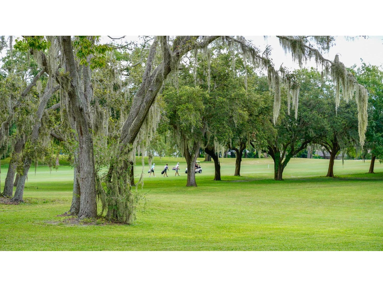 8141 Golf Club Court Hudson FL 34667 TB8505790 image78