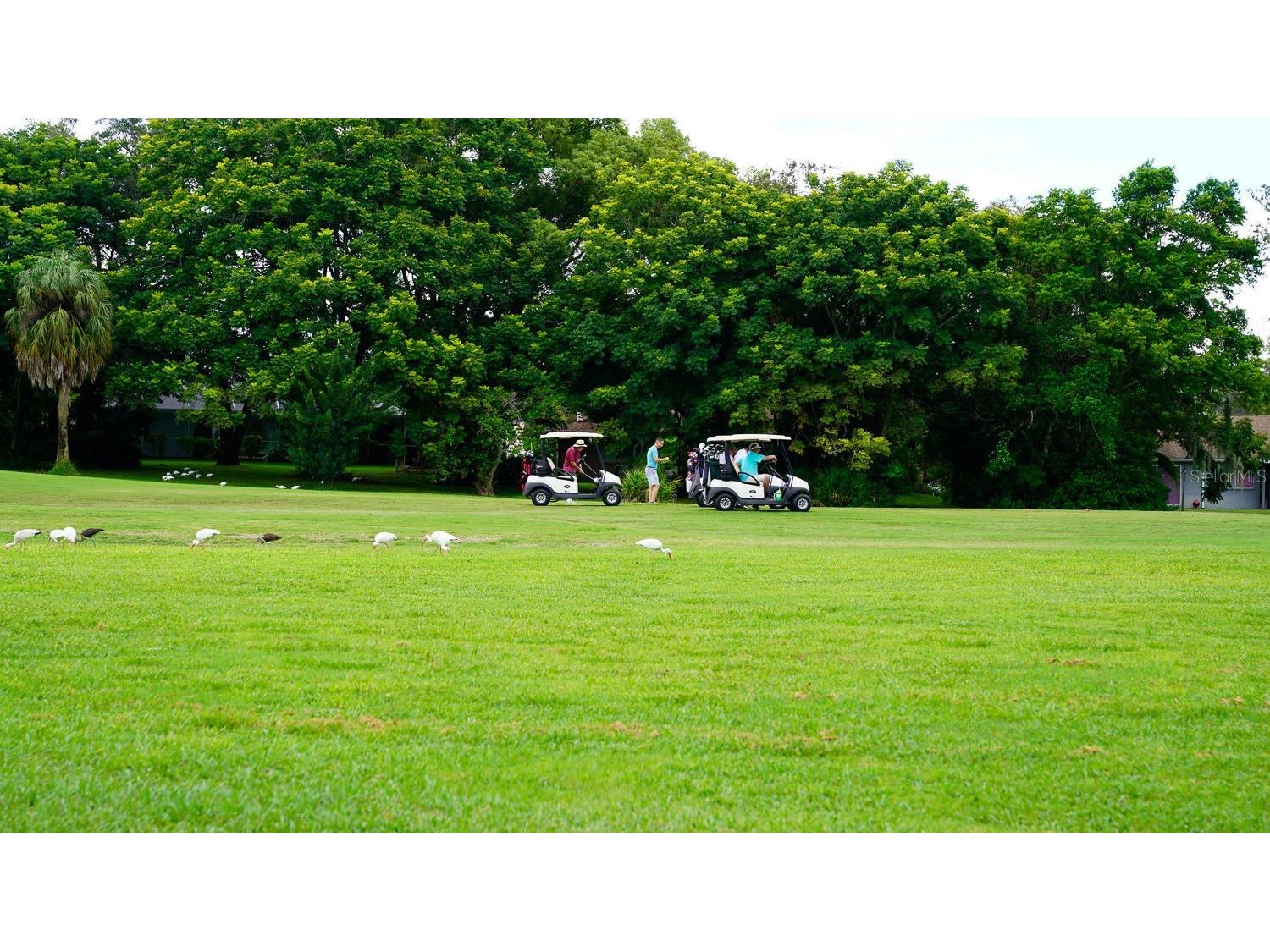 8141 Golf Club Court Hudson FL 34667 TB8505790 image79