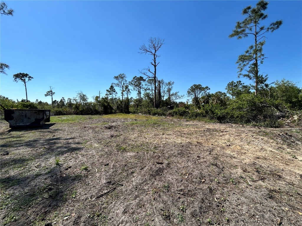 8141 Strasse Boulevard Punta Gorda FL 33982 C7507711 image1