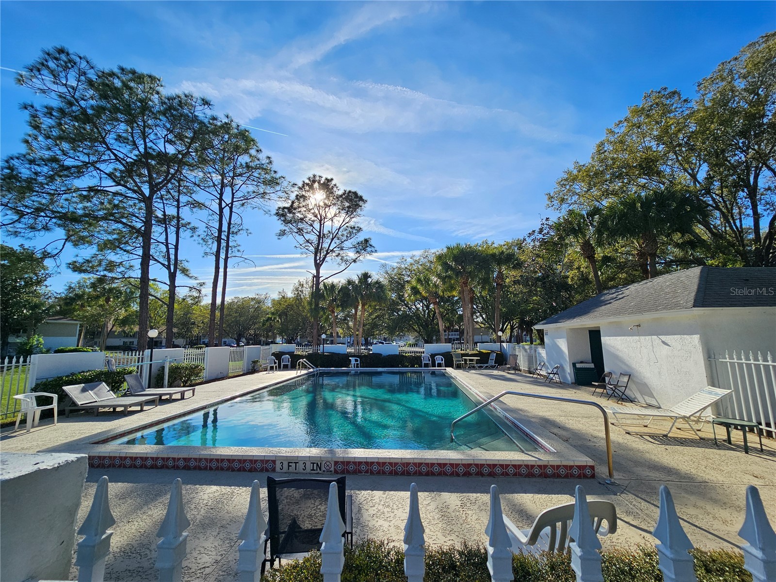 8142 Fairways Circle #S204 Ocala FL 34472 OM721204 image25