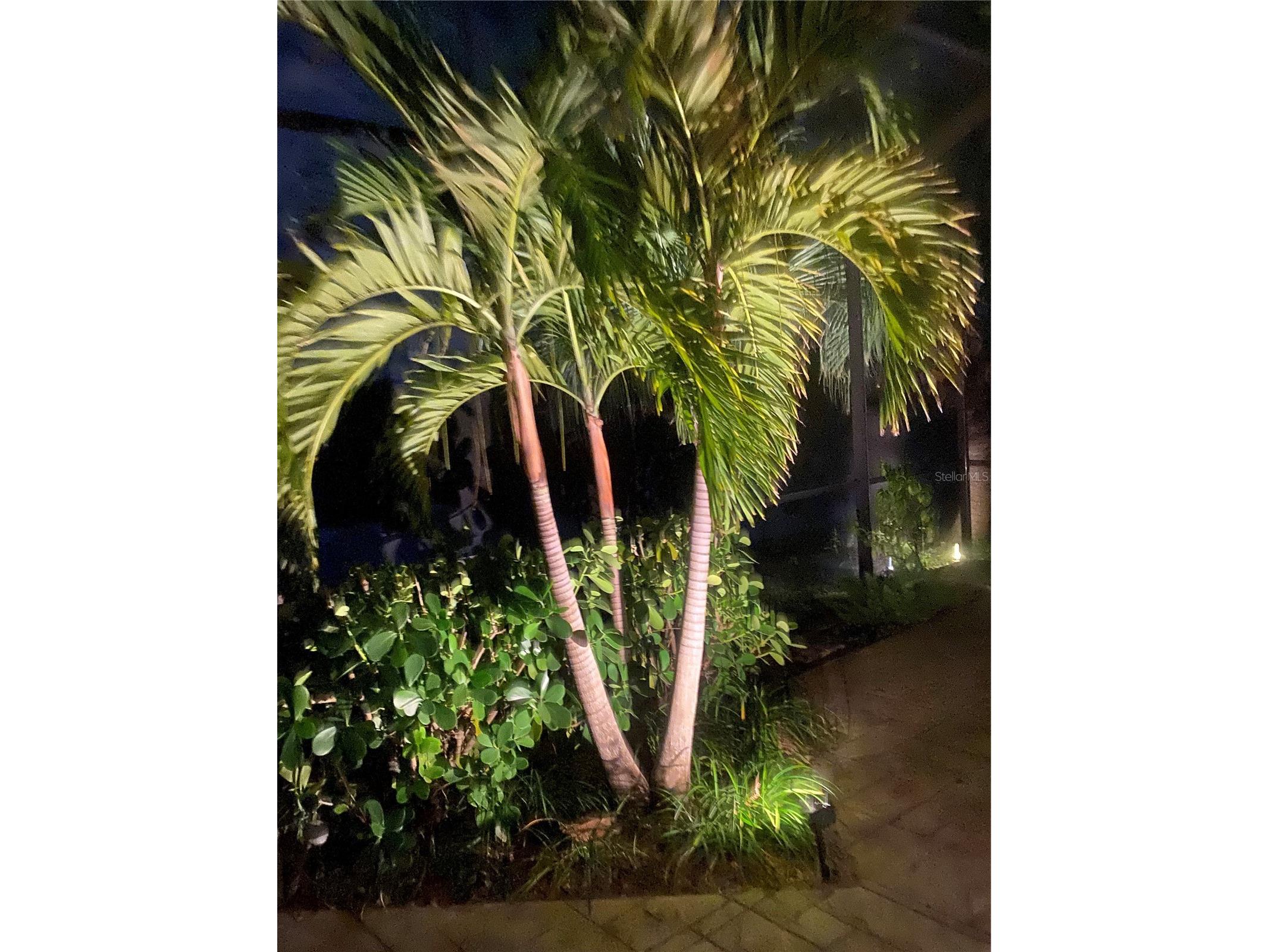 8142 Stirling Falls Circle Sarasota FL 34243 A4685641 image10