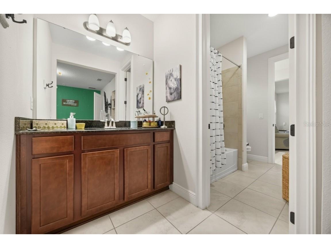 8143 Chilton Drive Orlando FL 32836 O6343033 image30