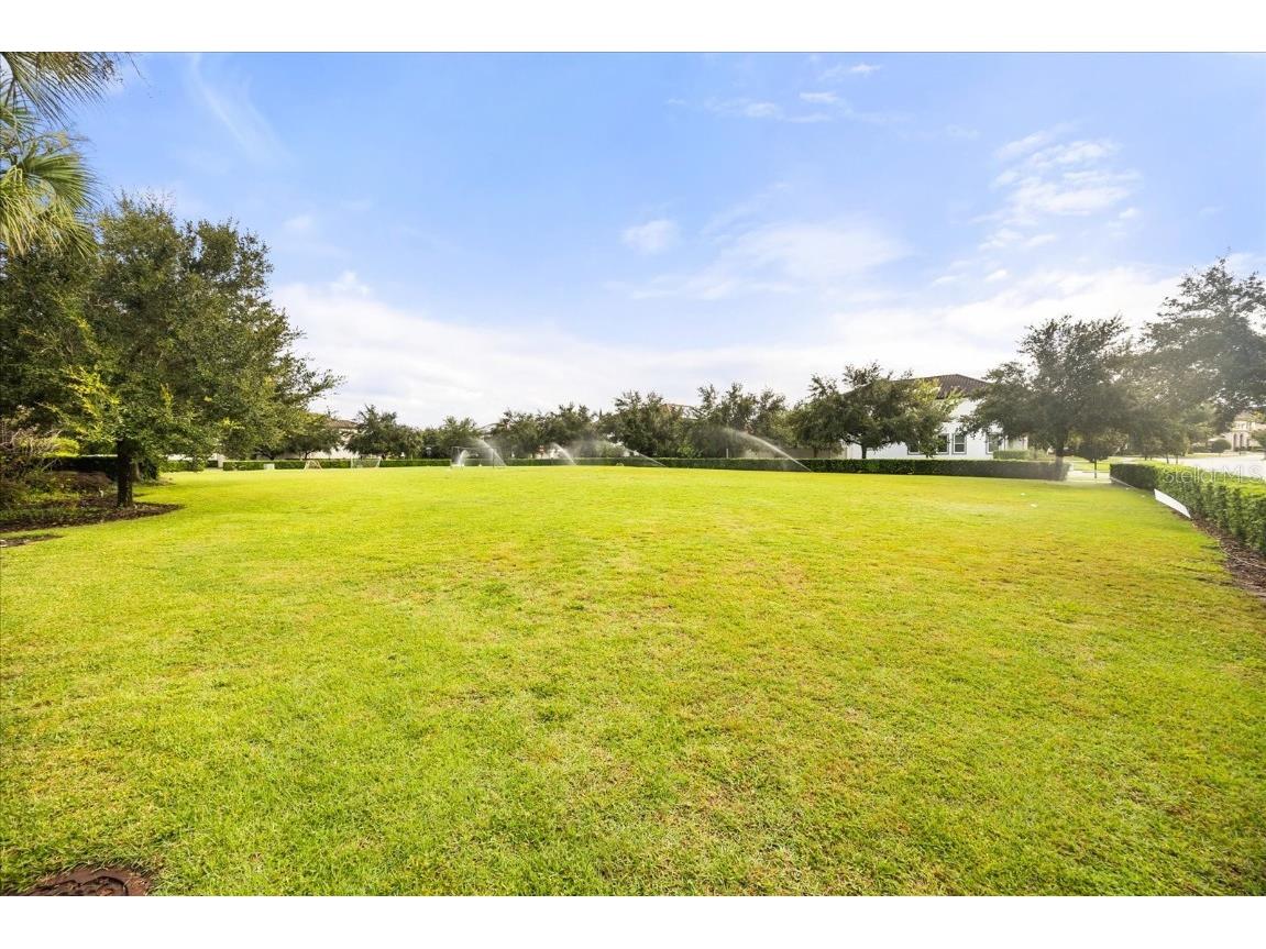 8143 Chilton Drive Orlando FL 32836 O6343033 image44