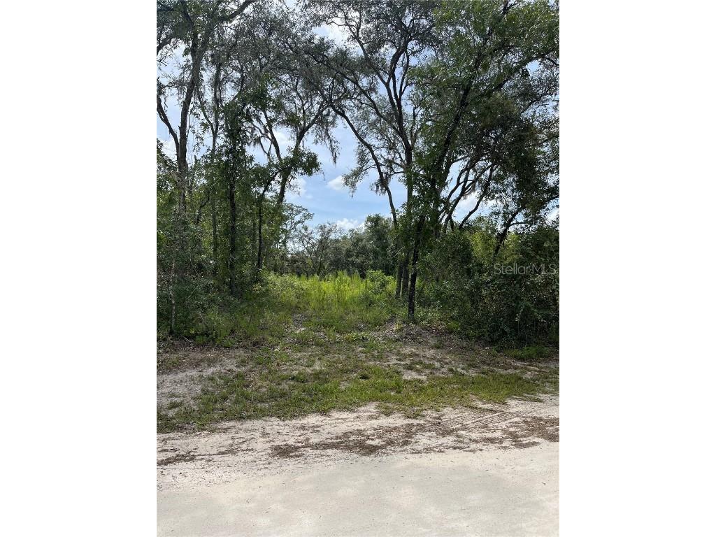 8143 Chimney Rock Drive Webster FL 33597 W7859367 image1