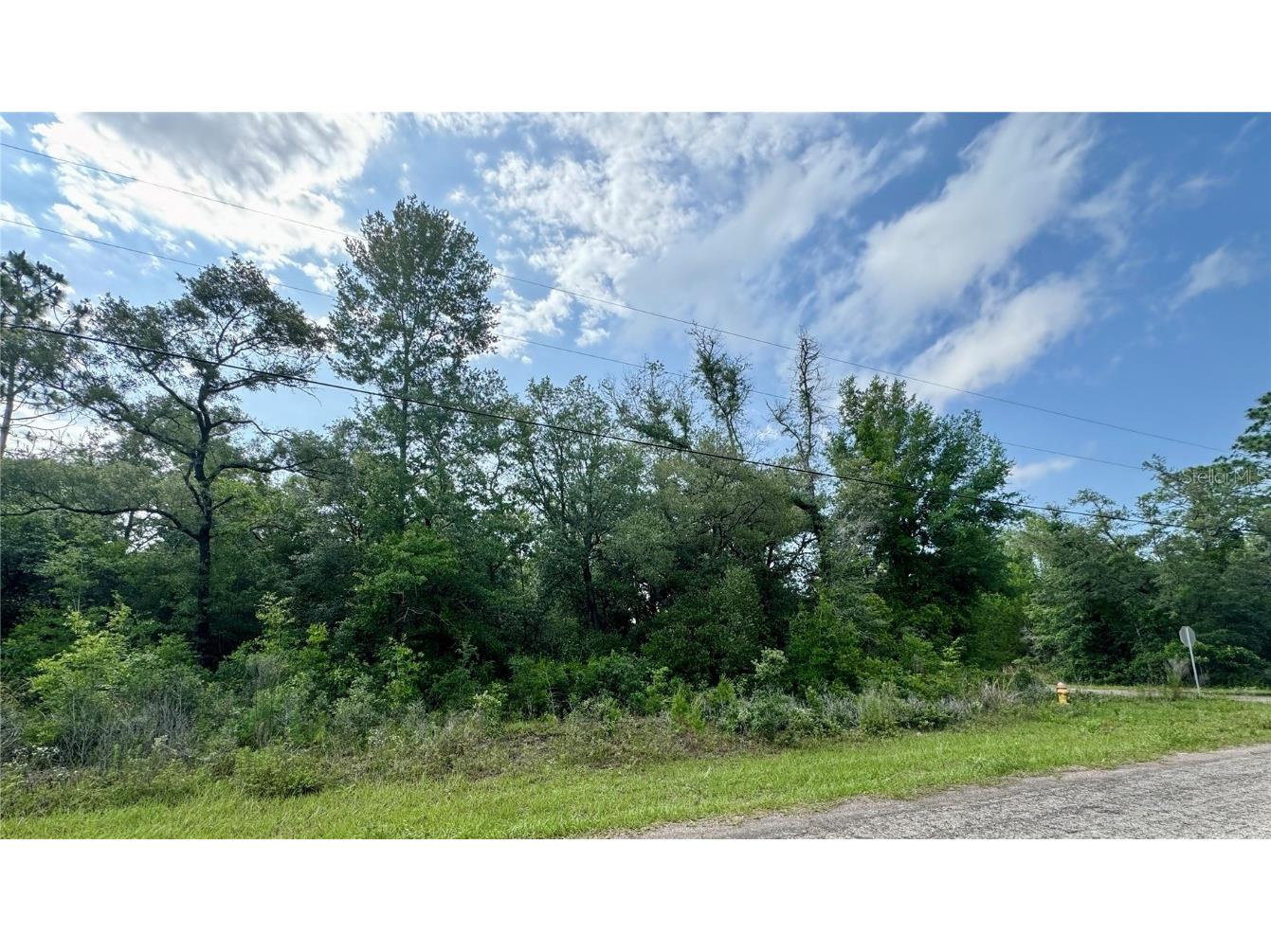 8143 N Voyager Drive Citrus Springs FL 34433 OM679397 image1