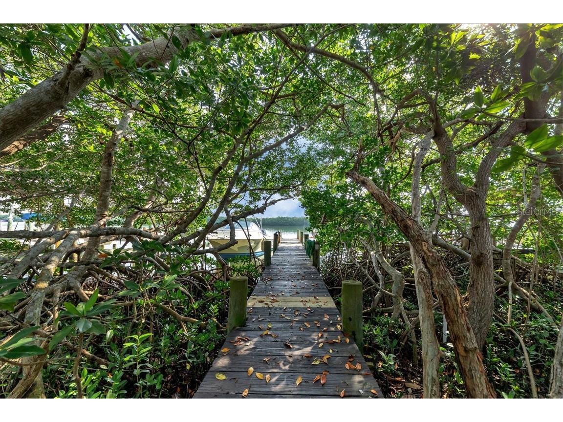 8144 Little Gasparilla Island Placida FL 33946 D6132902 image29