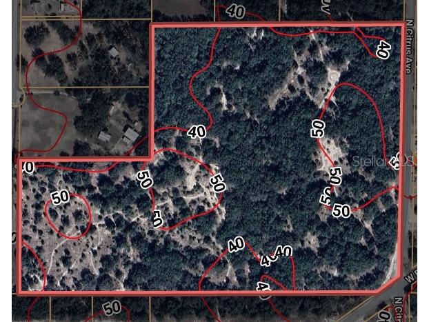 8144 W Alvany Court Crystal River FL 34428 TB8432003 image10