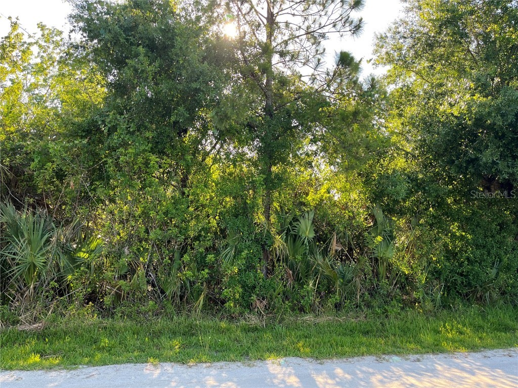 8145 97th Avenue Vero Beach FL 32967 OK222786 image1