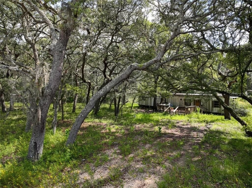 8146 Blazing Star Road Melrose FL 32666 GC515551 image1