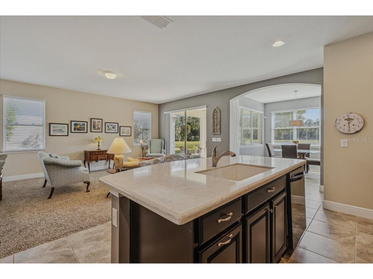 8146 Jailene Drive Windermere FL 34786 O6420838 image10