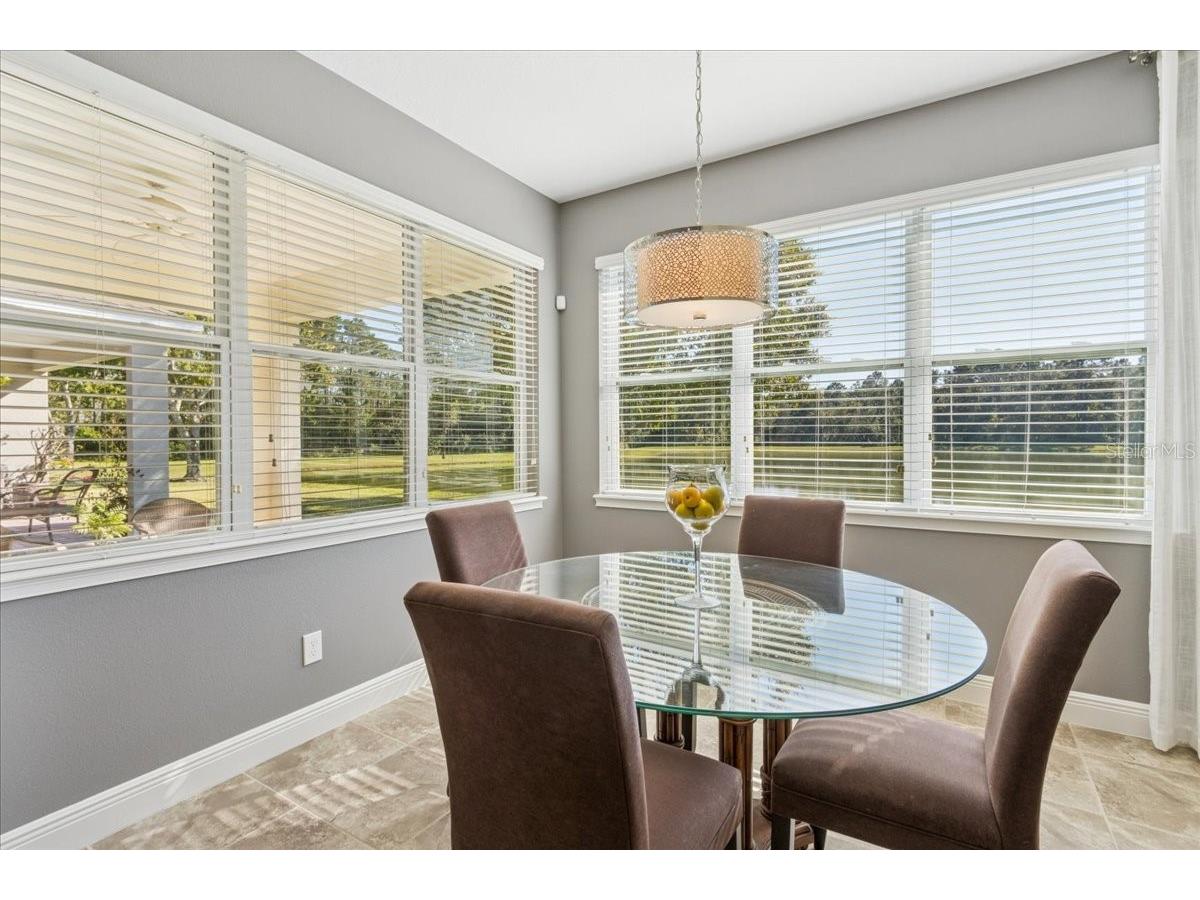 8146 Jailene Drive Windermere FL 34786 O6420838 image16