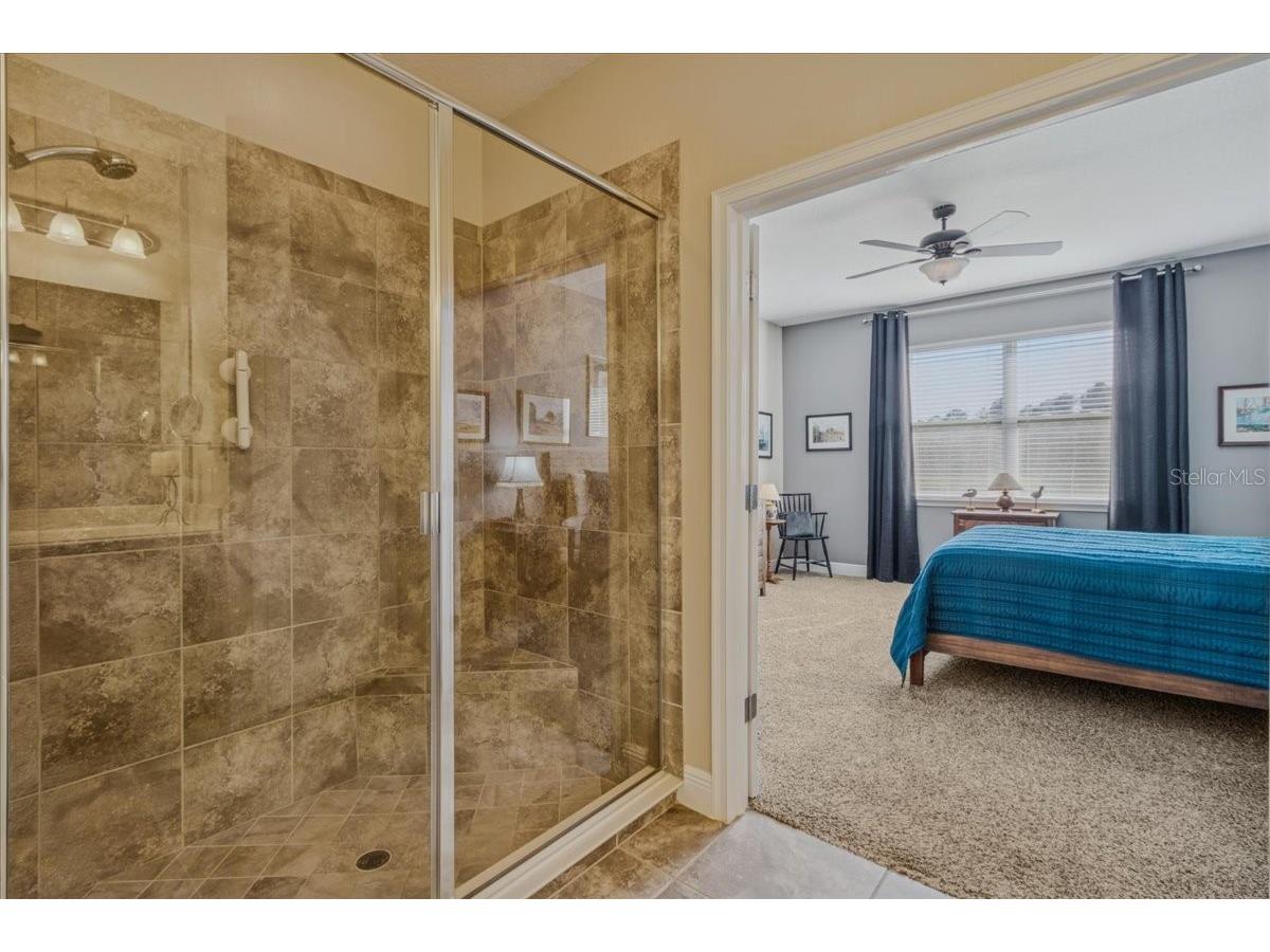 8146 Jailene Drive Windermere FL 34786 O6420838 image29