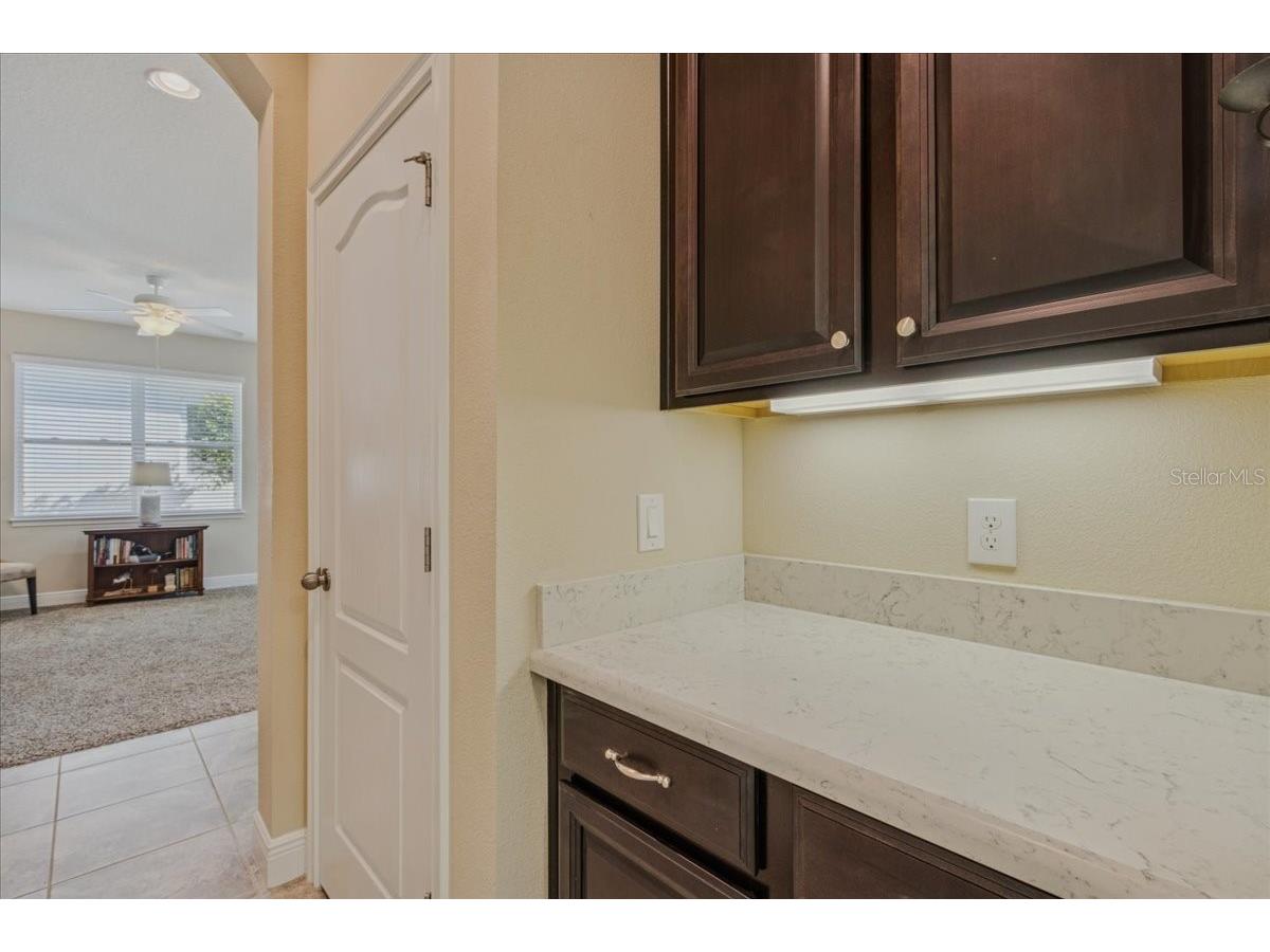 8146 Jailene Drive Windermere FL 34786 O6420838 image38