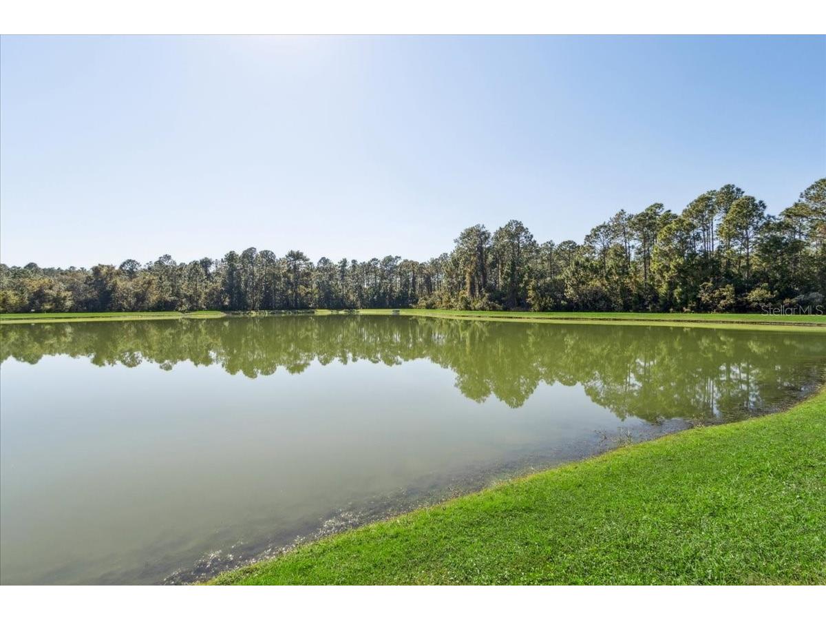 8146 Jailene Drive Windermere FL 34786 O6420838 image40
