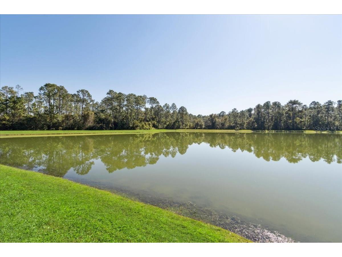 8146 Jailene Drive Windermere FL 34786 O6420838 image41
