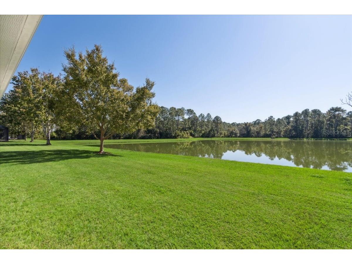 8146 Jailene Drive Windermere FL 34786 O6420838 image44