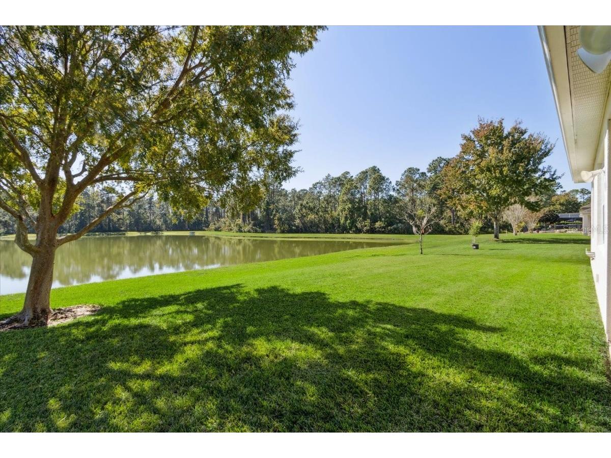 8146 Jailene Drive Windermere FL 34786 O6420838 image45