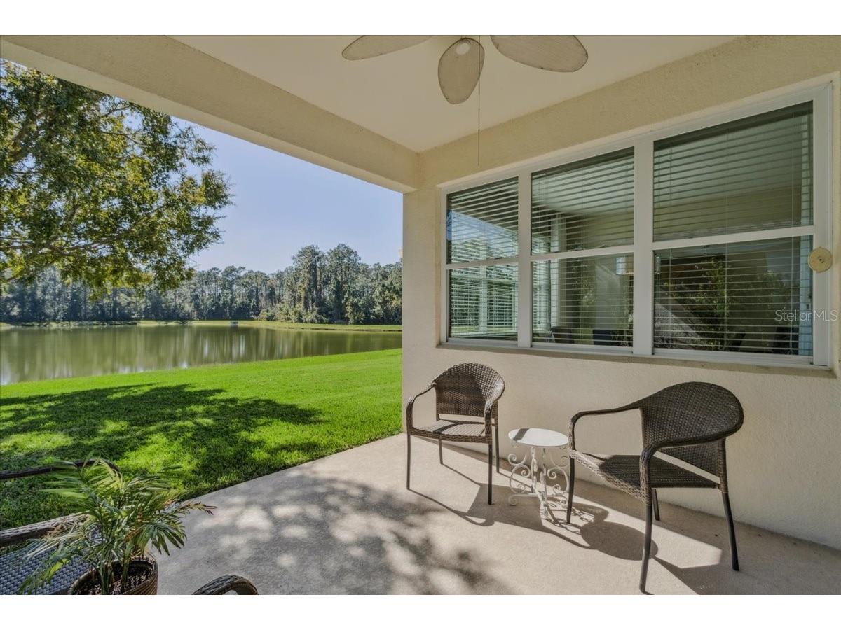 8146 Jailene Drive Windermere FL 34786 O6420838 image48
