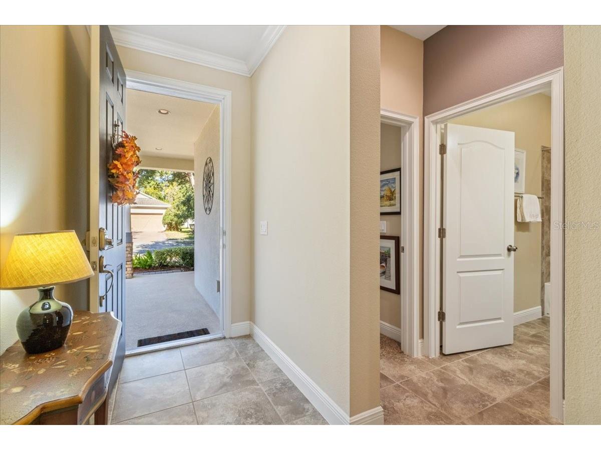 8146 Jailene Drive Windermere FL 34786 O6420838 image5
