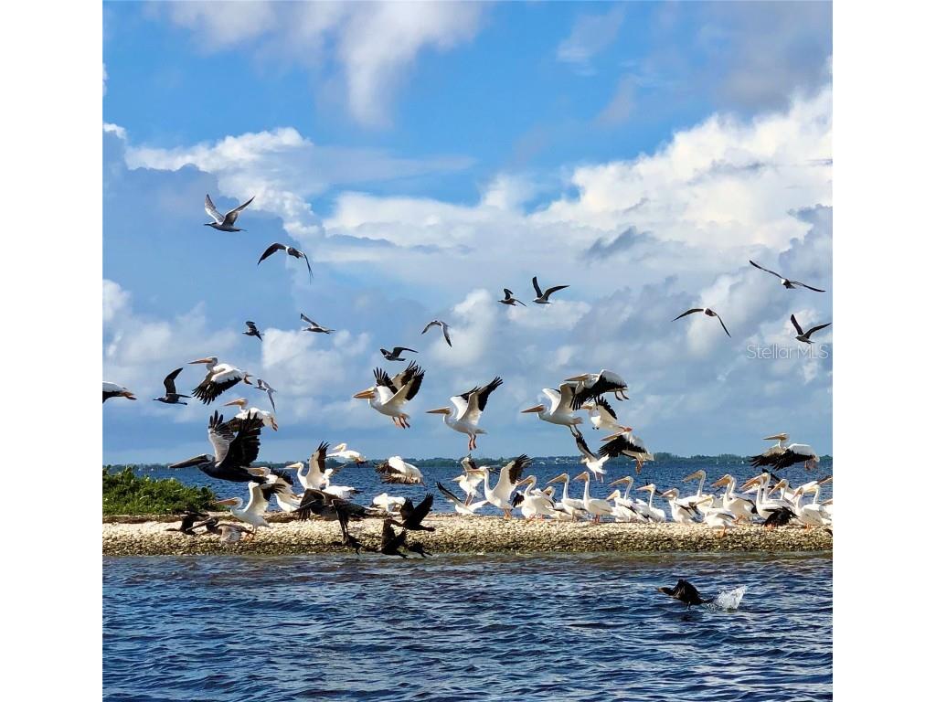 8146 Little Gasparilla Island Placida FL 33946 - PLACIDA HARBOR D6144795 image14