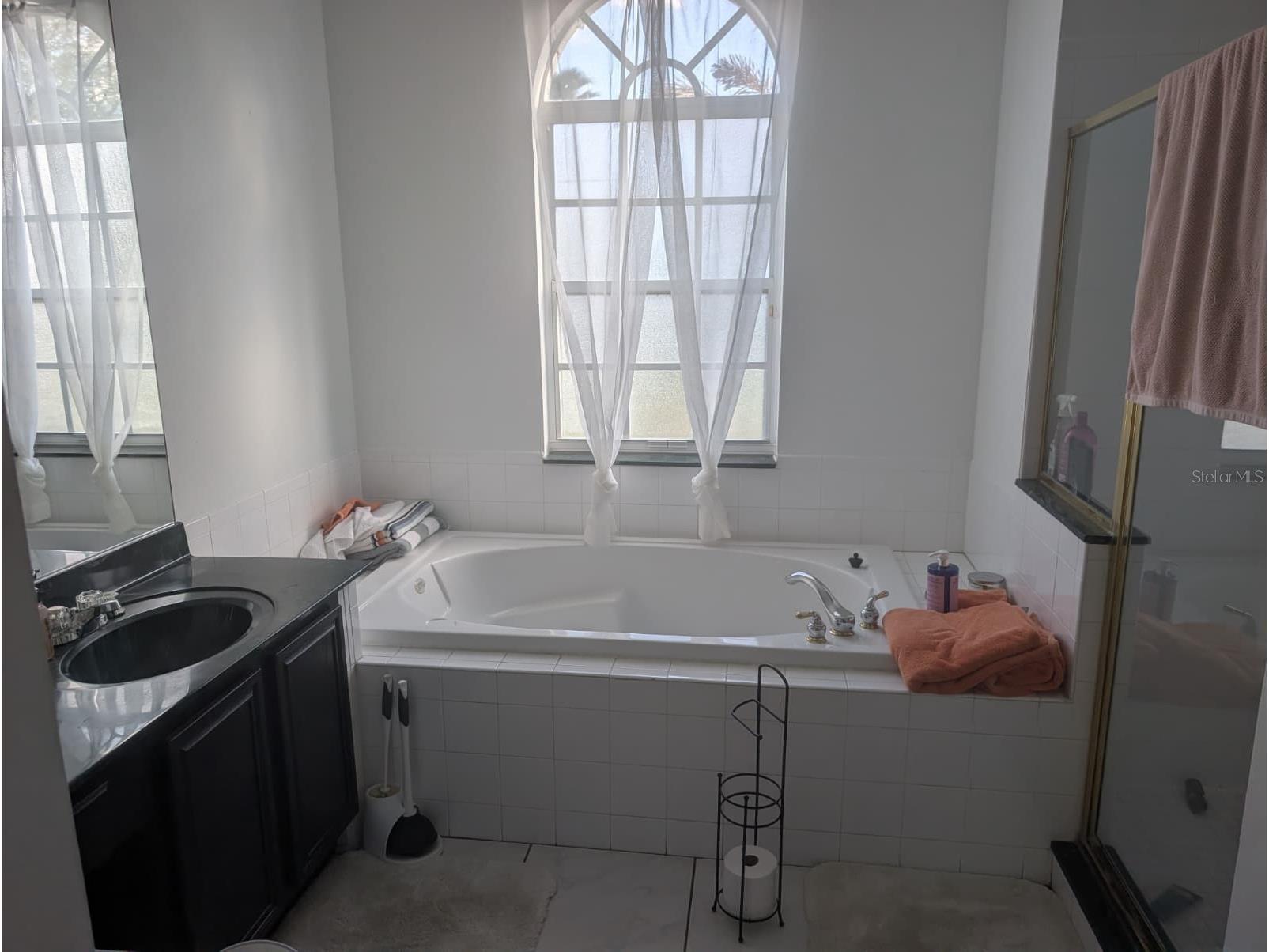 8149 Moritz Court Orlando FL 32825 O6391676 image10
