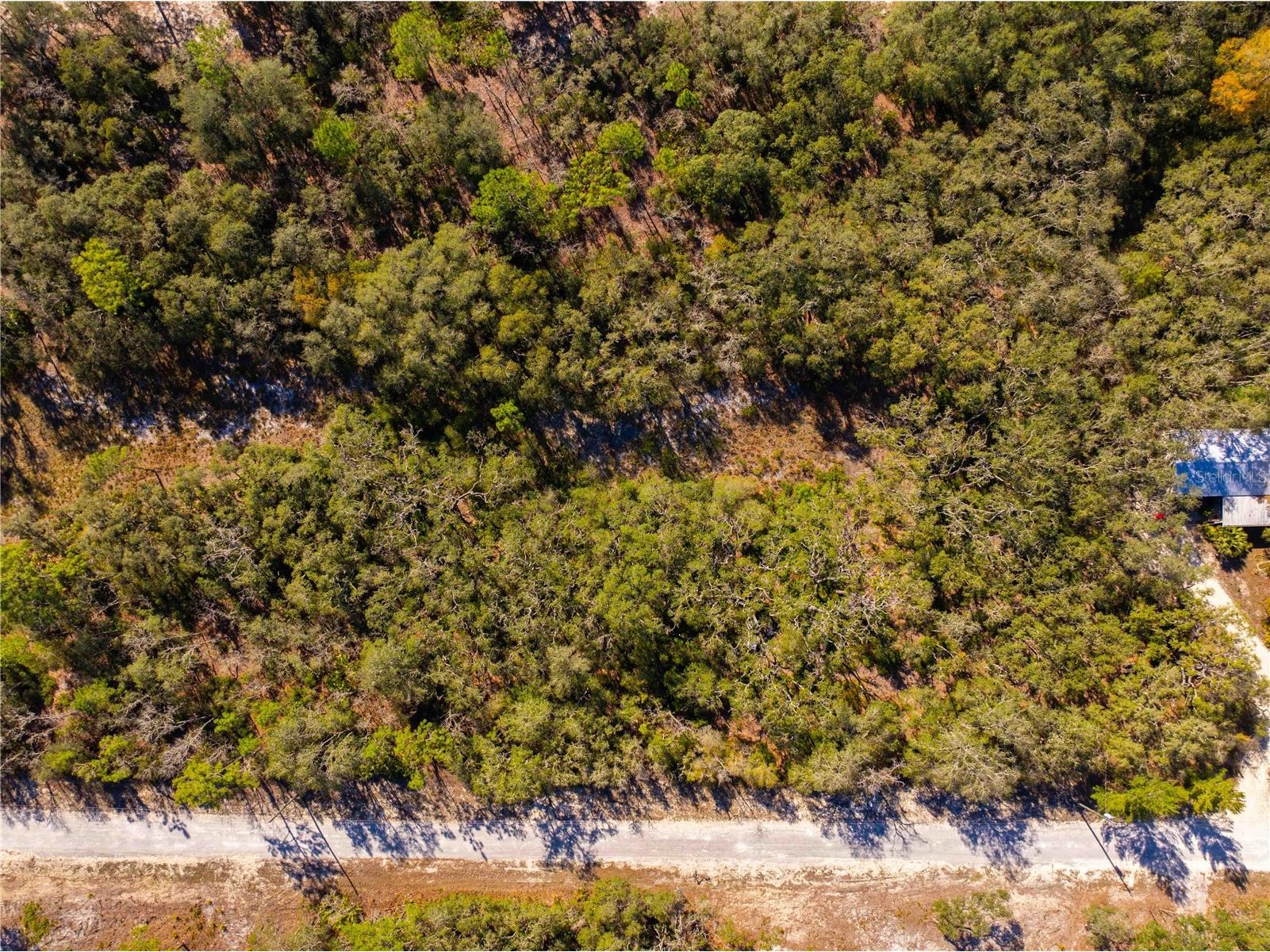 8149 Renova Drive Webster FL 33597 TB8357288 image10