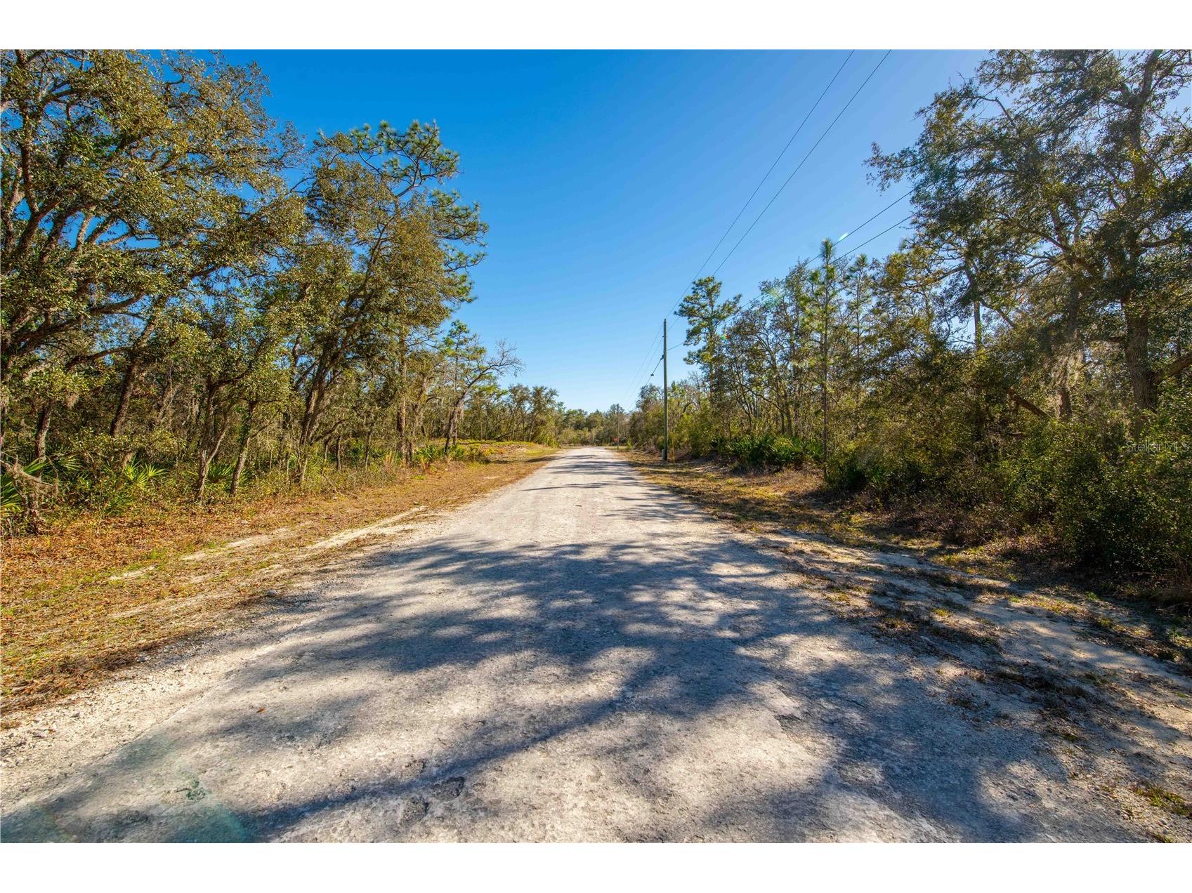 8149 Renova Drive Webster FL 33597 TB8357288 image11