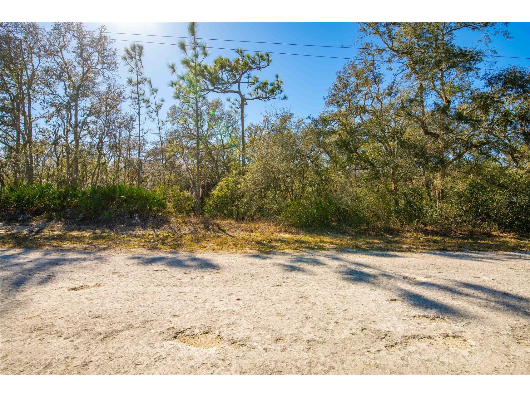 8149 Renova Drive Webster FL 33597 TB8357288 image12